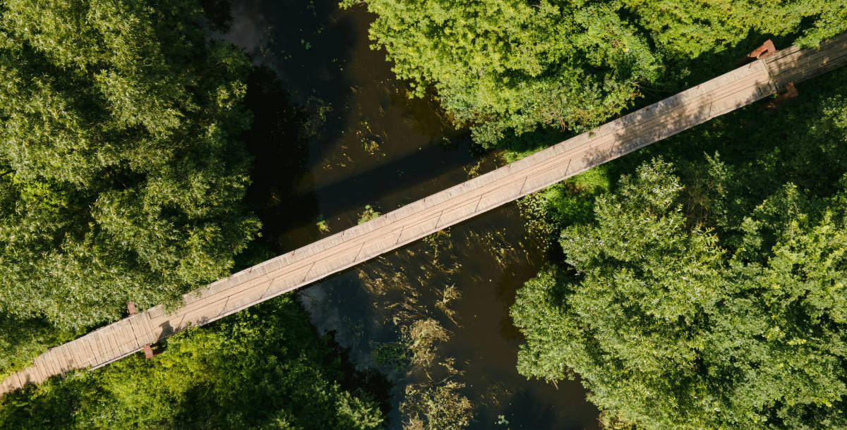 reabilitacao-ecologica Galeria ripícola com vegetação arbórea densa e uma ponte pedonal em madeira que liga as duas margens